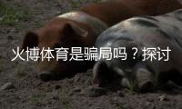 火博体育是骗局吗？探讨真相