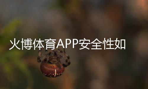 火博体育APP安全性如何:值得信赖吗?