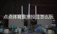 点点体育直播投注怎么玩？新手入门规则、玩法解析与实战技巧