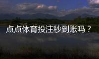 点点体育投注秒到账吗？秒到账真相、充值提现时间与常见问题解答