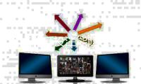 点点体育投注能赚钱吗？真实收益、风险与避坑攻略