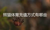 熊猫体育充值方式有哪些？新手必看支付渠道、充值流程与安全注意事项