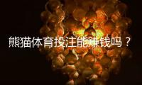 熊猫体育投注能赚钱吗？真实盈利分析、实操攻略与风险提示