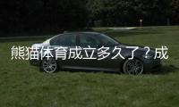 熊猫体育成立多久了？成立时间、发展历程与主要业务一文看懂