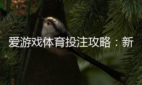 爱游戏体育投注攻略：新手入门、热门玩法详解与实战投注技巧