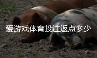 爱游戏体育投注返点多少？最新返点比例、计算方法与领取技巧详解