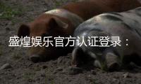 盛煌娱乐官方认证登录：安全便捷的一站式游戏入口