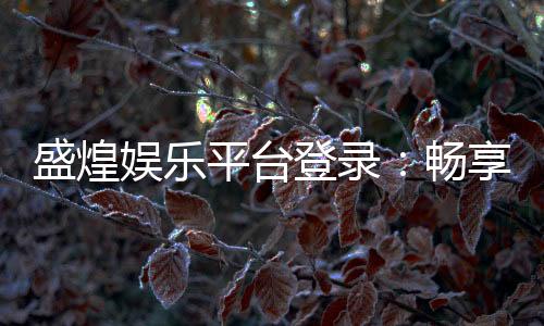 盛煌娱乐平台登录：畅享顶级游戏体验与安全登录指南