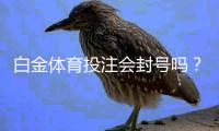 白金体育投注会封号吗？专家揭秘