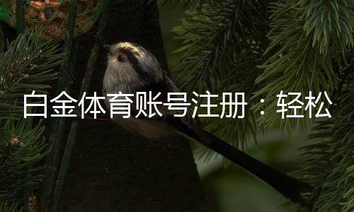 白金体育账号注册：轻松开始棋牌娱乐与电子游艺之旅