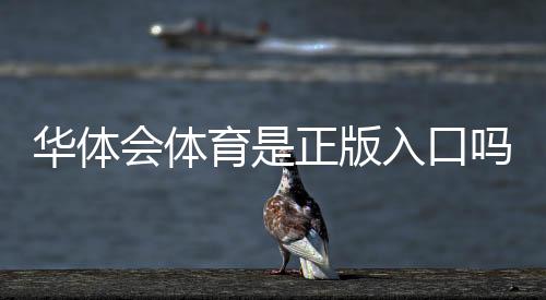 华体会体育是正版入口吗？官方渠道识别与安全访问全攻略