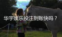 华宇娱乐投注到账快吗？实测到账速度与提款技巧分享