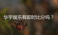 华宇娱乐有即时比分吗？全面解析比分功能与投注技巧