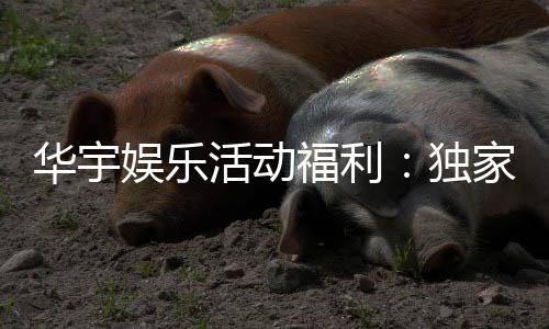华宇娱乐活动福利：独家福利与惊喜活动等你来享
