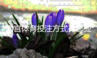 南宫体育投注方式有哪些？线上线下、手机APP与实体店投注全攻略