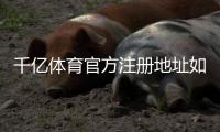 千亿体育官方注册地址如何选择最优平台?