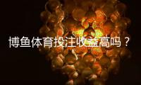博鱼体育投注收益高吗？新手必看：真实测评、收益率与风险解析