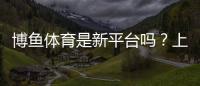 博鱼体育是新平台吗？上线时间、资质与安全性全面解析