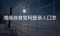博鱼体育官网登录入口怎么进？官方登录教程与安全验证全攻略