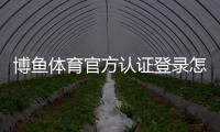 博鱼体育官方认证登录怎么操作？新手注册与安全验证全教程
