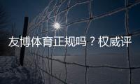友博体育正规吗？权威评测与新手快速辨别平台真伪的方法