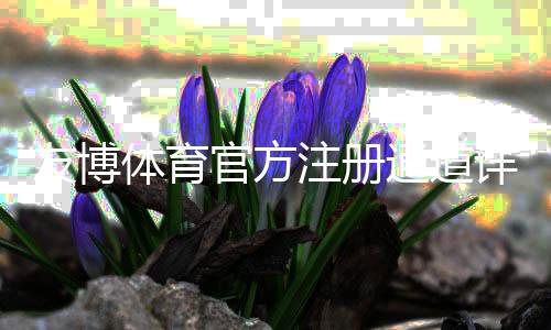 友博体育官方注册通道详解:新手注册流程、实名认证与常见问题全攻略
