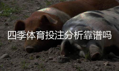 四季体育投注分析靠谱吗？实测评估与用户口碑全解析