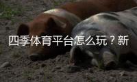 四季体育平台怎么玩？新手注册、充值、投注与安全指南