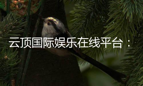 云顶国际娱乐在线平台:畅享顶级电子游艺与真人娱乐体验