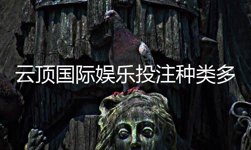 云顶国际娱乐投注种类多吗？资深玩家带你揭秘丰富玩法