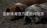 亚新体育官方注册网址怎么找？官方注册链接、注册步骤与安全验证详解