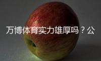 万博体育实力雄厚吗？公司背景、资质、技术与用户口碑全方位解析