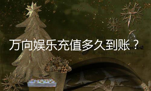 万向娱乐充值多久到账？实测到账时间与快速入款技巧分享