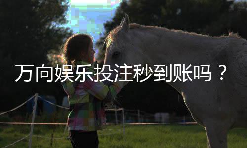 万向娱乐投注秒到账吗？实测到账速度与平台优势解析