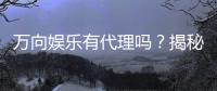 万向娱乐有代理吗？揭秘代理加盟条件与流程