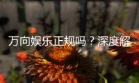 万向娱乐正规吗？深度解析平台资质与玩家真实体验