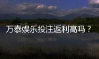 万泰娱乐投注返利高吗？实测返利比例与玩家真实收益解析