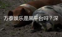 万泰娱乐是黑平台吗？深度解析其信誉与玩家真实体验