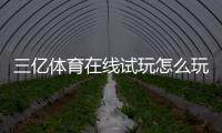 三亿体育在线试玩怎么玩？新手注册、体验金领取与玩法实操攻略