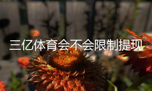 三亿体育会不会限制提现？提现规则、到账时效与风险防范全解析