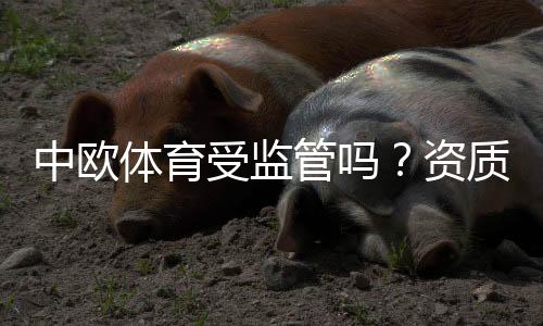 中欧体育受监管吗？资质核查、监管机构与用户风险评估详解