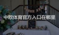 中欧体育官方入口在哪里？新手快速访问、登录与安全识别全攻略