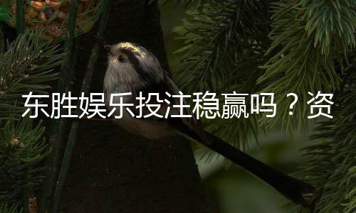 东胜娱乐投注稳赢吗?资深玩家揭秘稳赢策略与风险控制