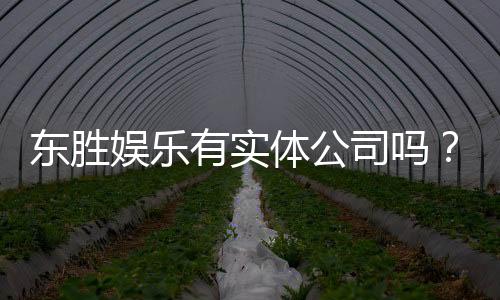 东胜娱乐有实体公司吗？实地探访其线下运营与资质详情