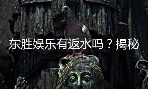 东胜娱乐有返水吗？揭秘返水政策与高额回馈详情