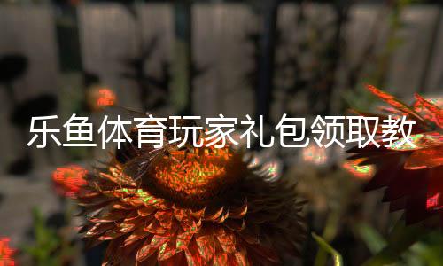 乐鱼体育玩家礼包领取教程：礼包码、激活步骤与福利内容一文看懂