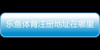 乐鱼体育注册地址在哪里？最新版注册流程、实名认证与安全注意事项详解