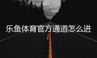 乐鱼体育官方通道怎么进入？最新入口、注册登录与安全使用全攻略