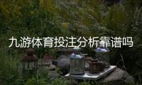 九游体育投注分析靠谱吗？真实可靠性评测与风险辨别全解析
