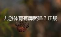 九游体育有牌照吗?正规资质、合法性与安全性全面解析